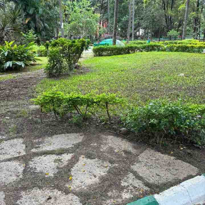 Kiran post 1