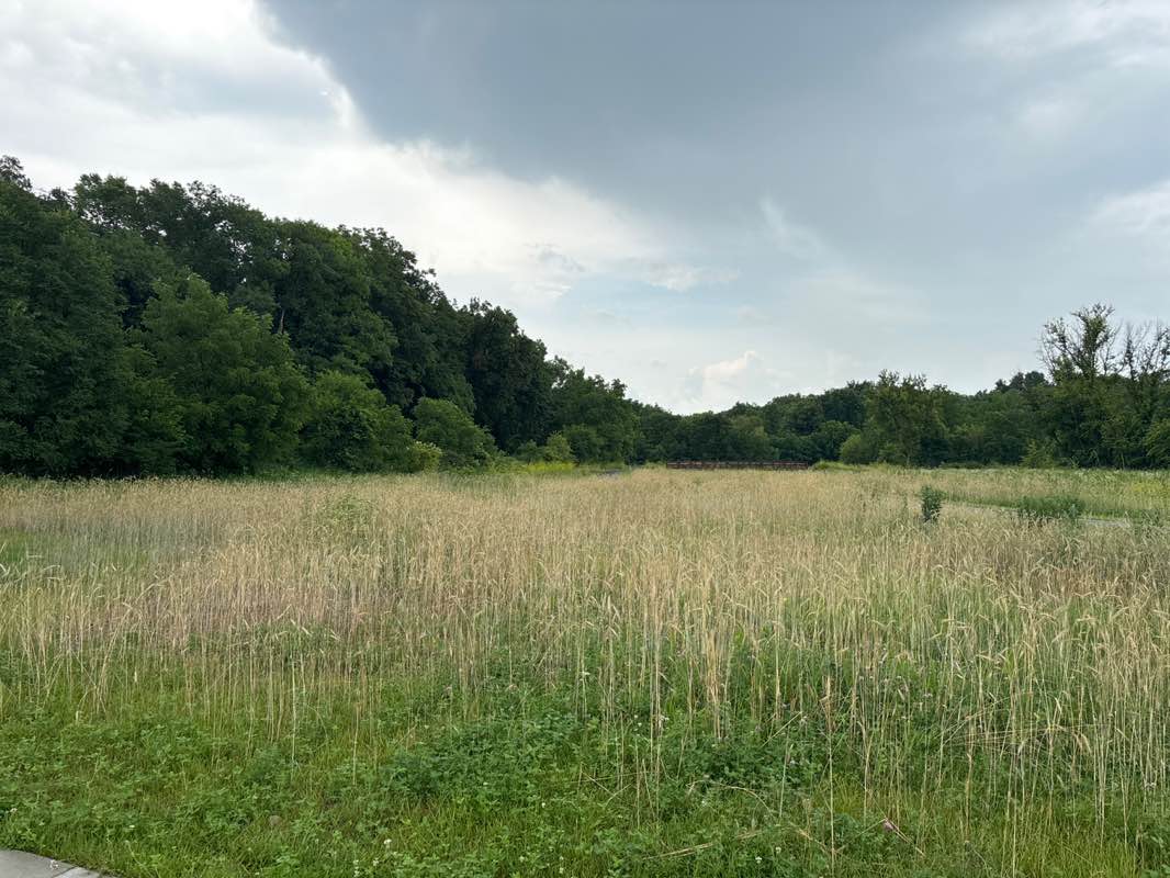 walking near me in Prairie Creek Recreation Area in summer