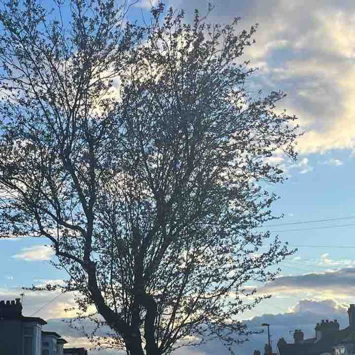 refreshingeyes post 1