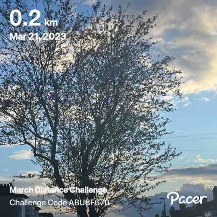 refreshingeyes post 1