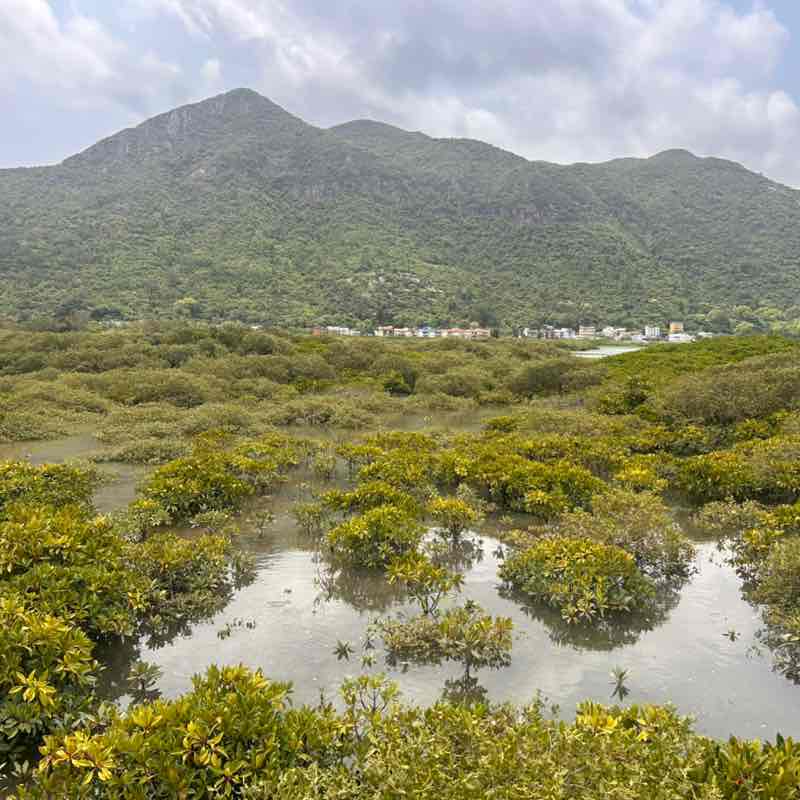 Eline🇭🇰 post 2