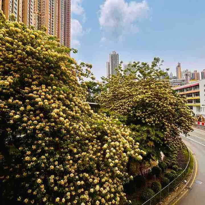 Eline🇭🇰 post 3