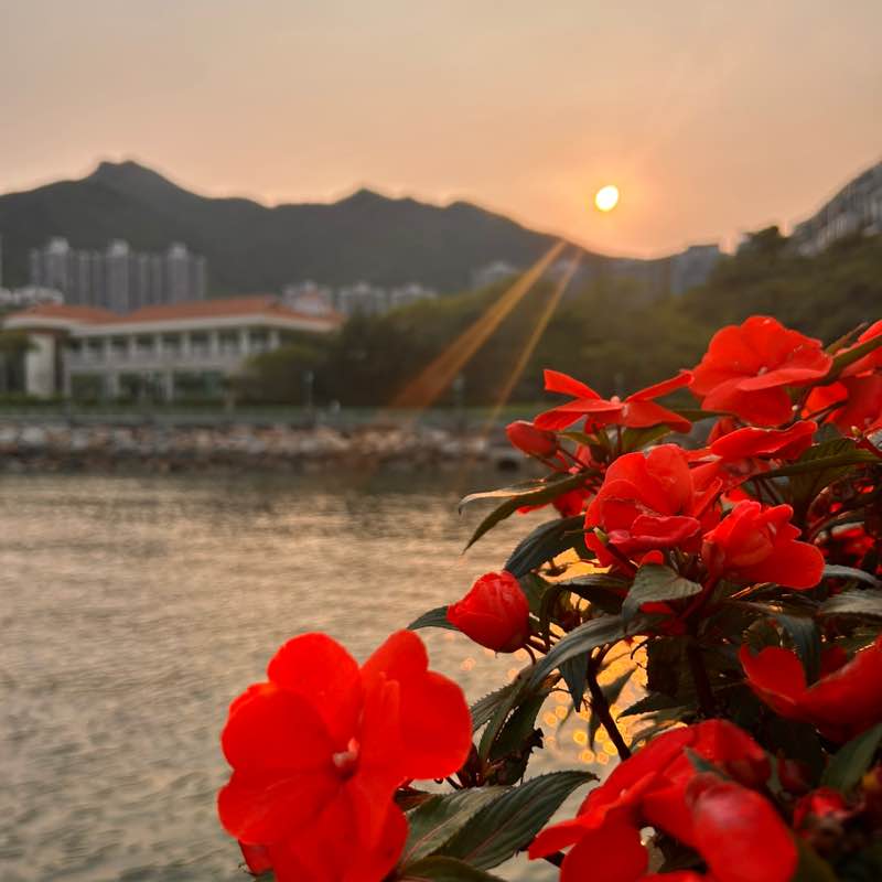 Eline🇭🇰 post 2