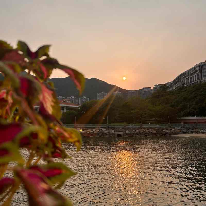 Eline🇭🇰 post 3