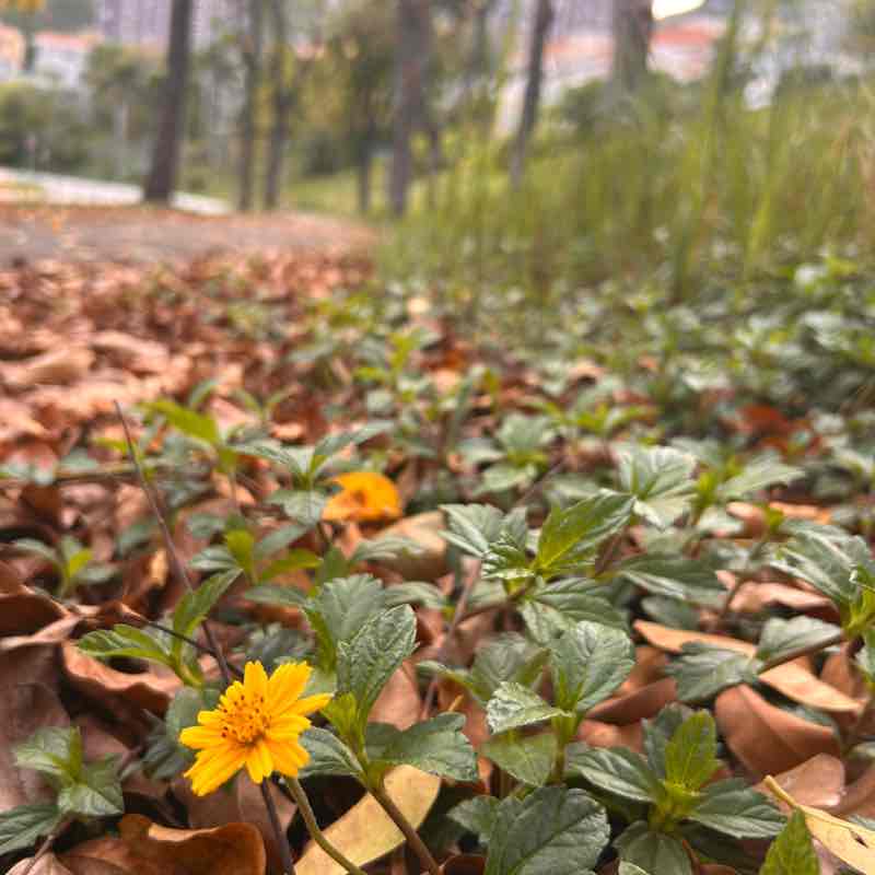 Eline🇭🇰 post 2