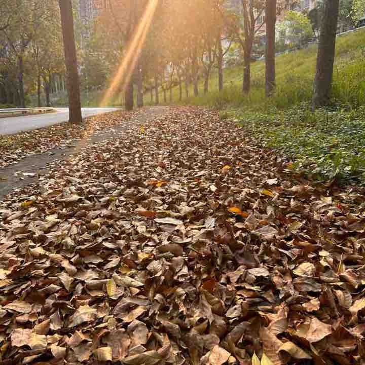 Eline🇭🇰 post 3