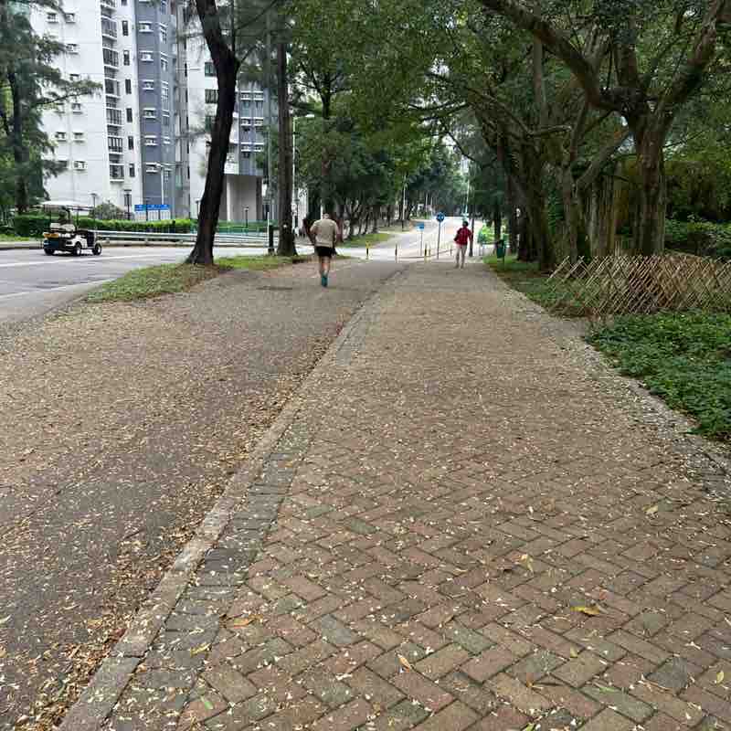 Eline🇭🇰 post 1