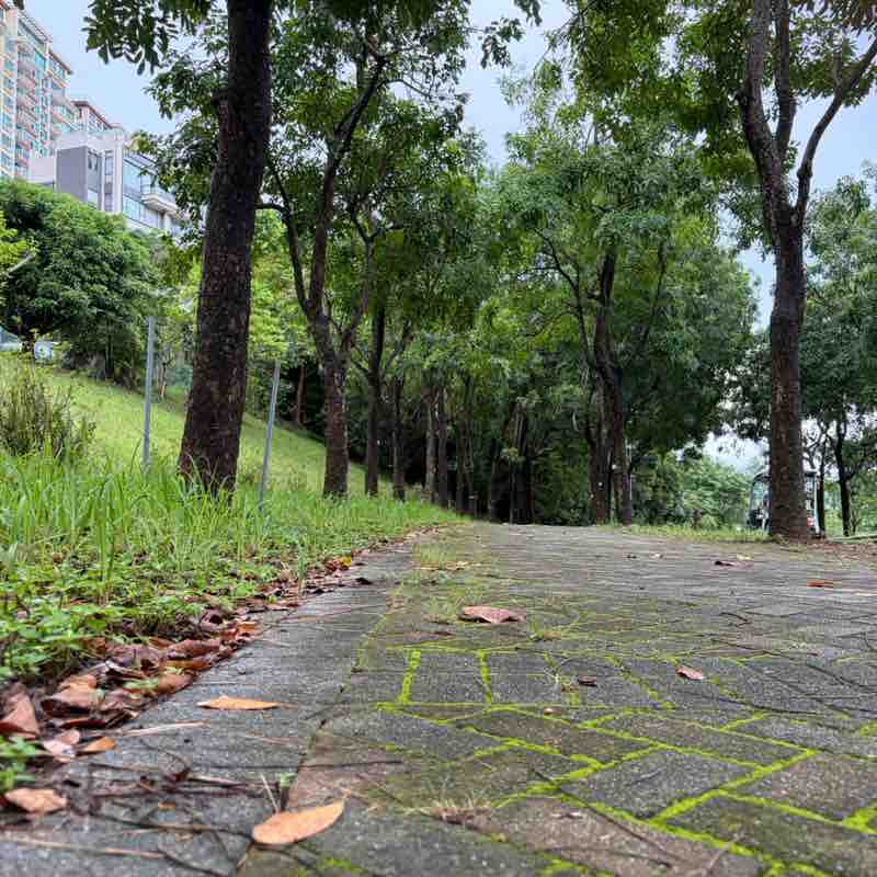 Eline🇭🇰 post 2