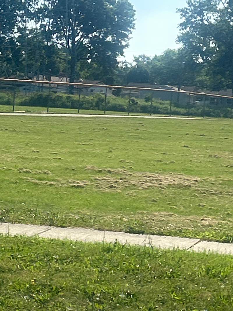 walking near me in Parknoll Playground Park in summer