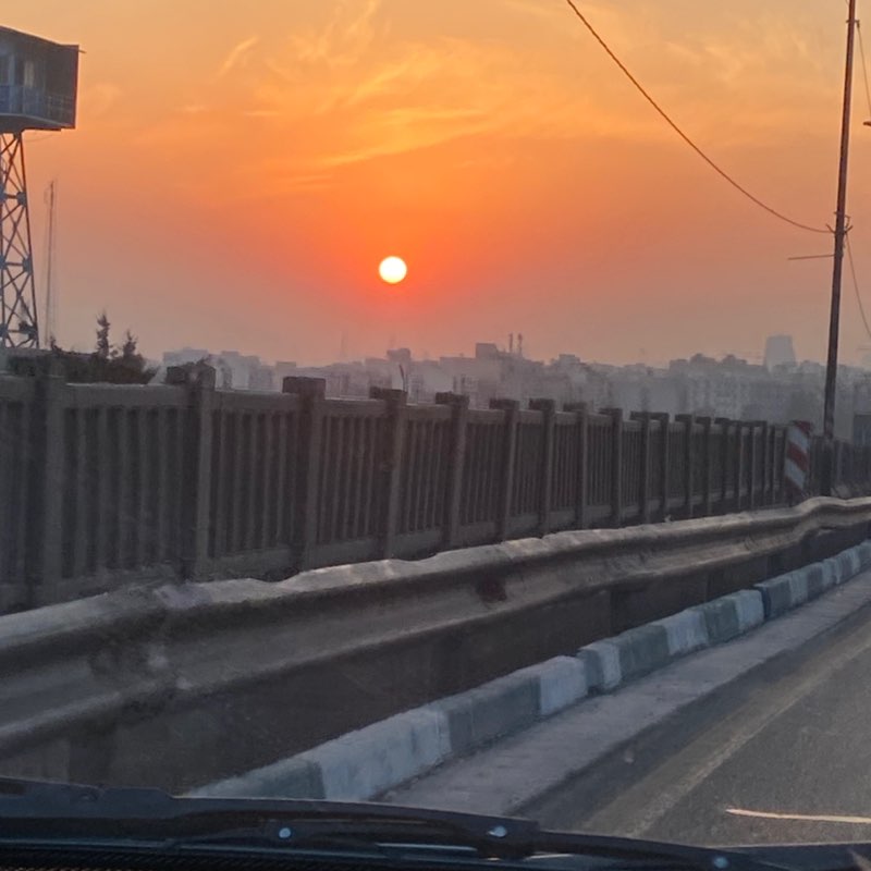 Friends of zargol zargol post image