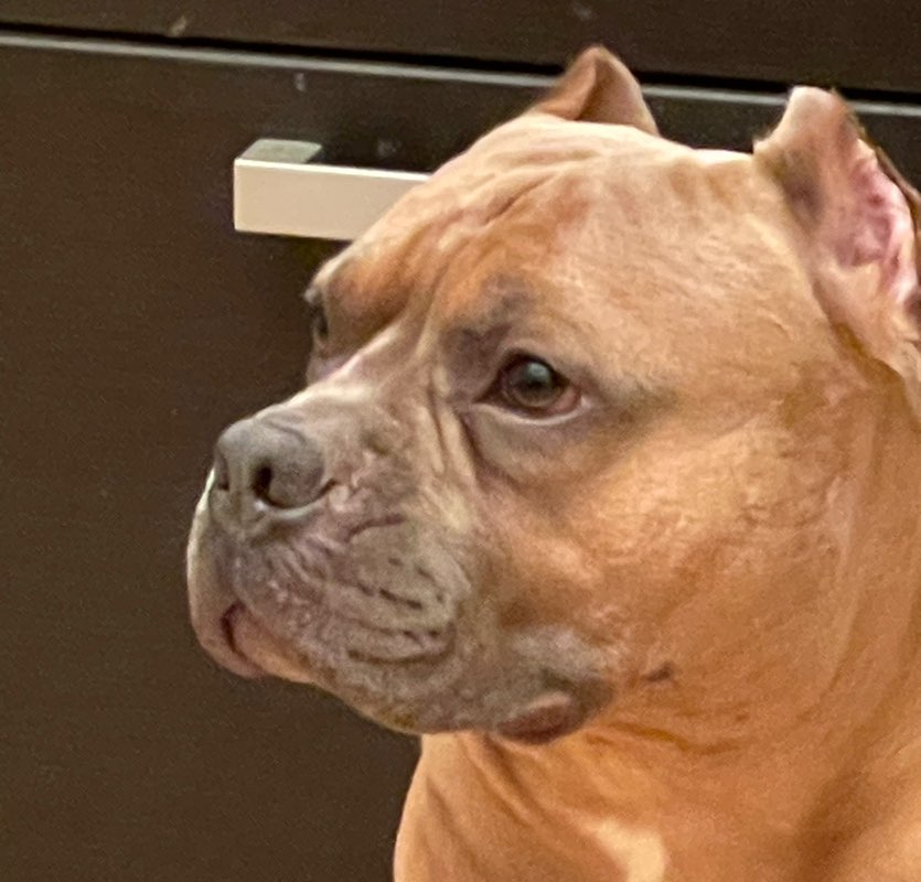 Алексей profile