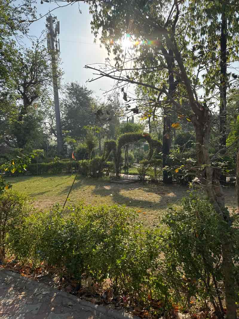 walking near me in Jethabhai Parmar Garden in spring