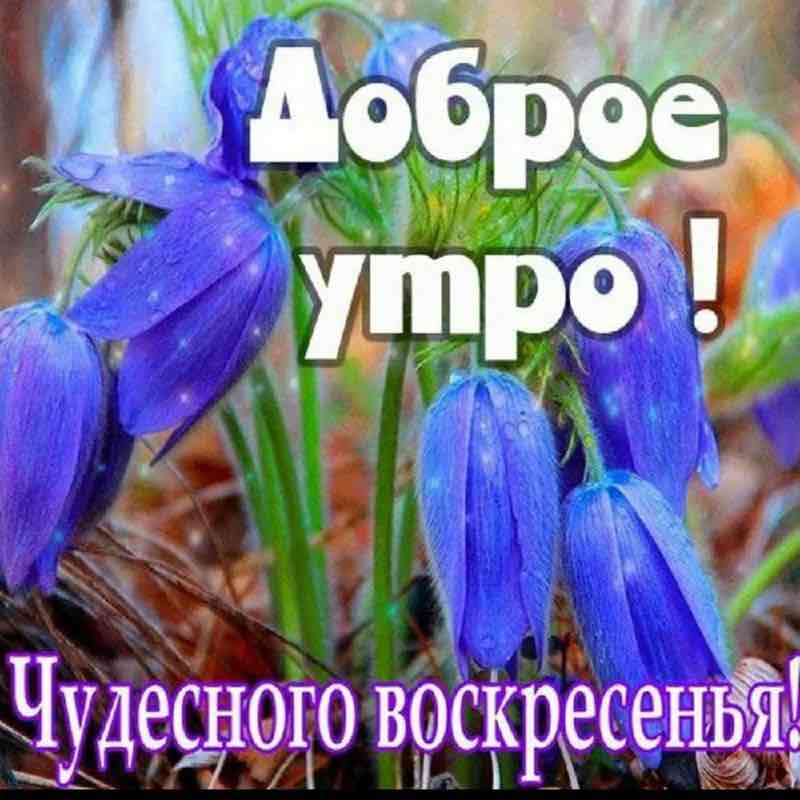 nigmatullin80 post 2