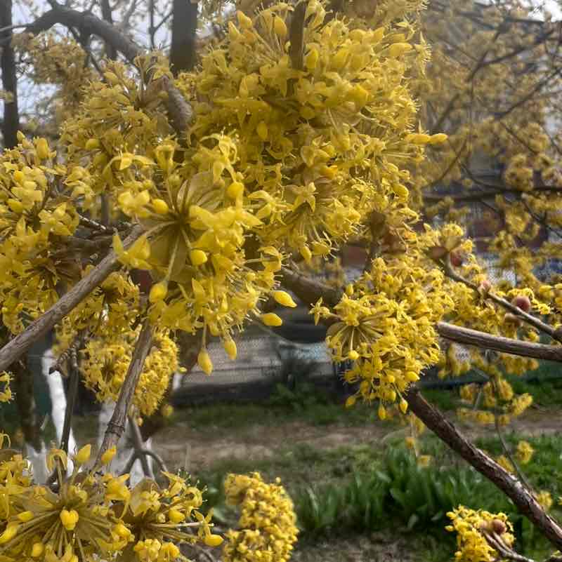 ❤️🔥Олюшка🔥❤️ post 3