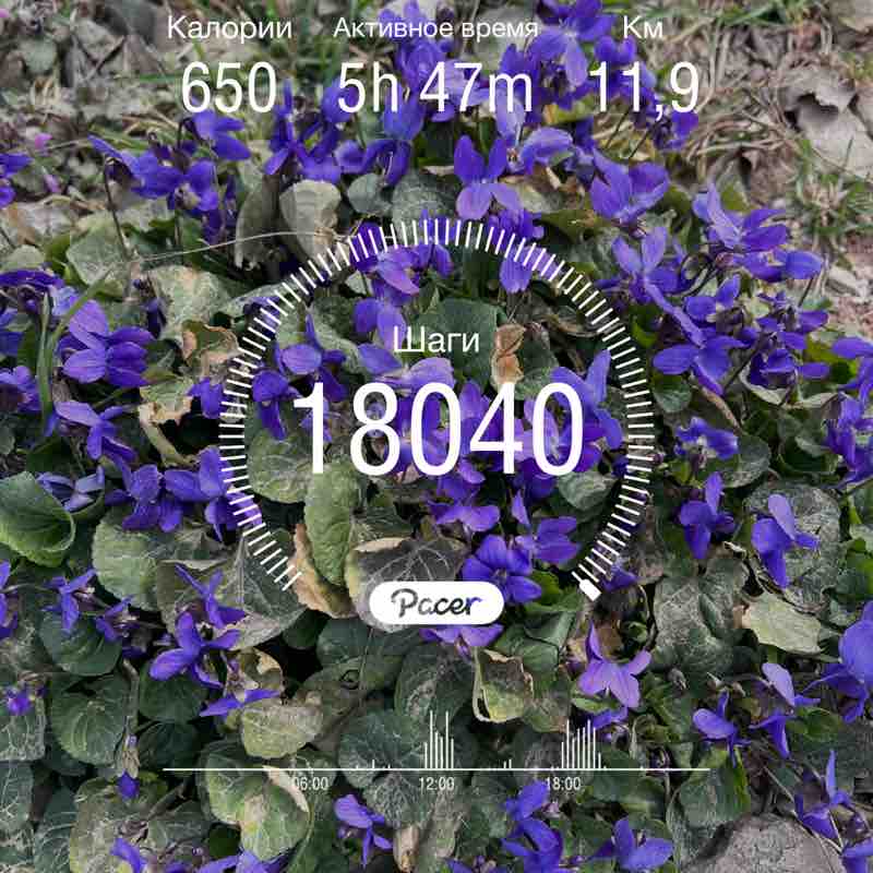 ❤️🔥Олюшка🔥❤️ post 1