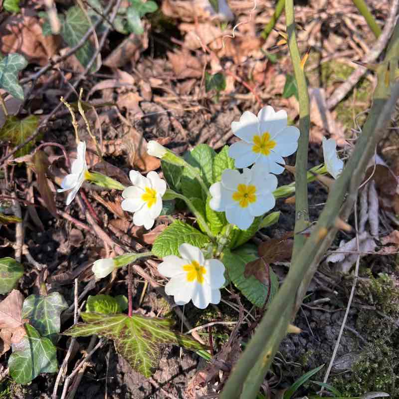 ❤️🔥Олюшка🔥❤️ post 2