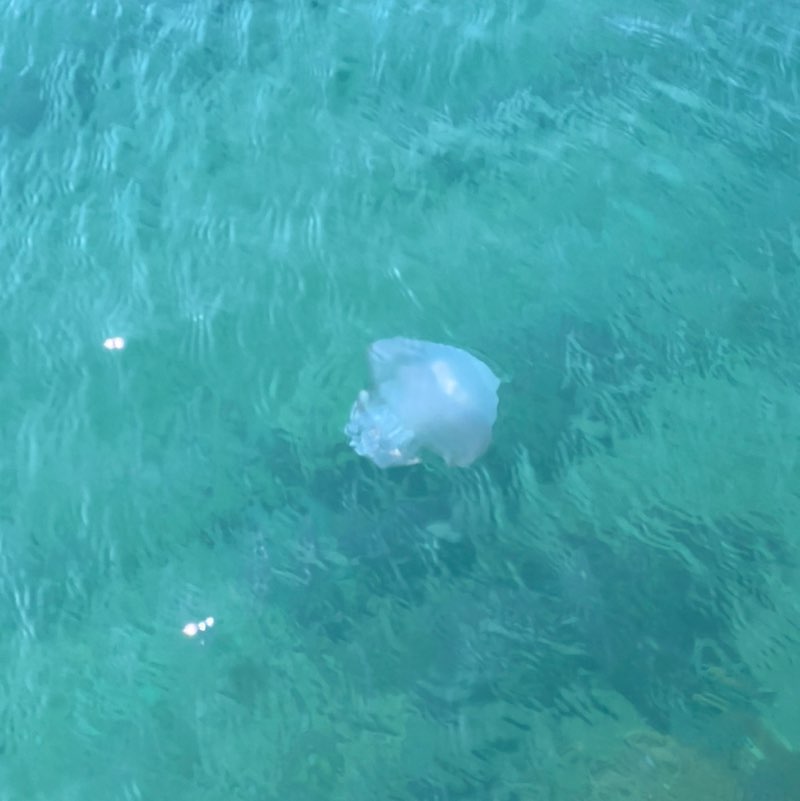 ❤️🔥Олюшка🔥❤️ post 3