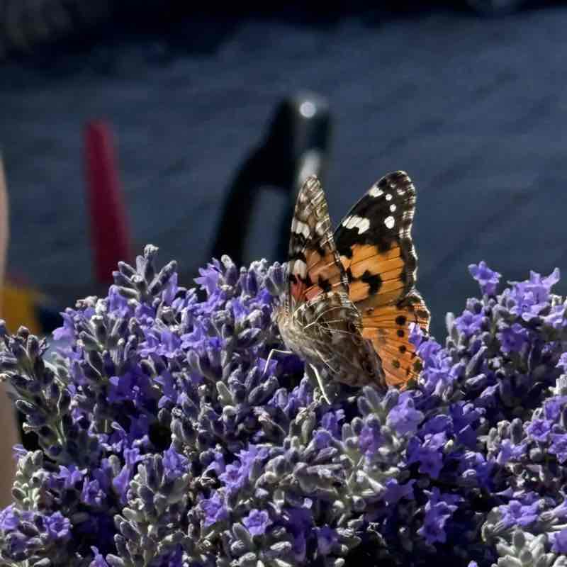 ❤️🔥Олюшка🔥❤️ post 2