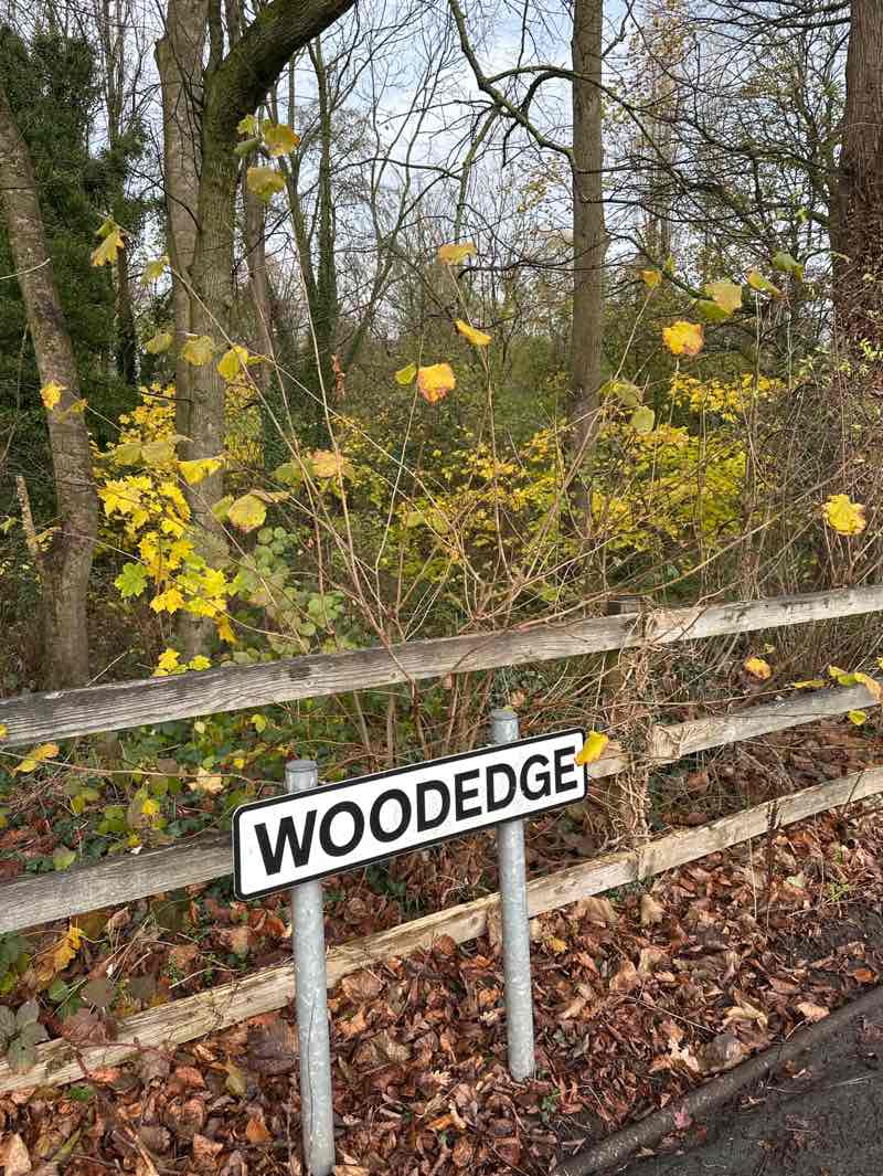 walking near me in Skitters Wood in autumn
