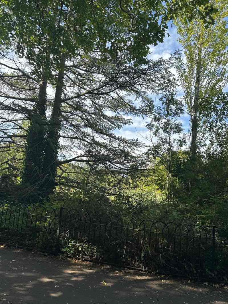 walking near me in Dulwich Park in autumn