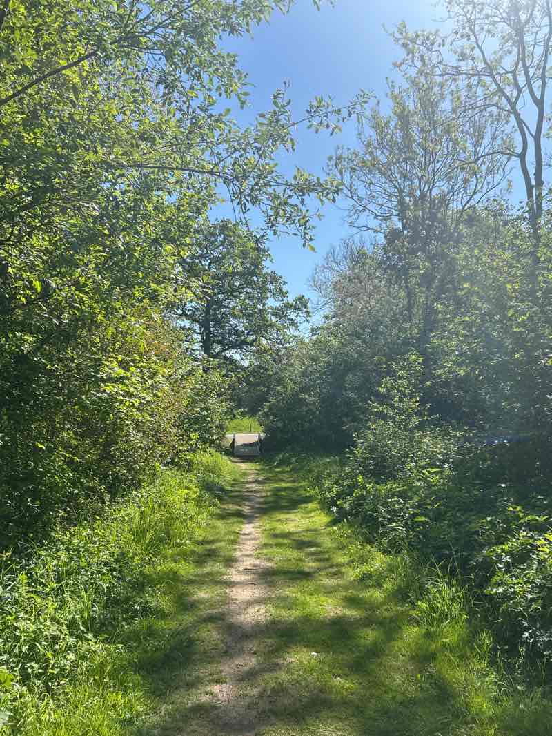 walking near me in Shenley Wood Park in spring