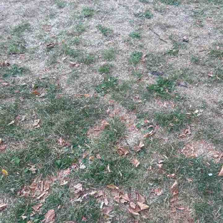 no name post 1