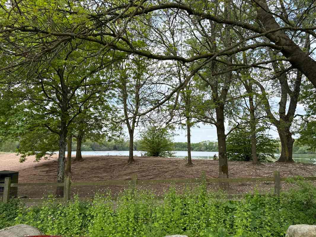 walking near me in Westport Lake Park in spring