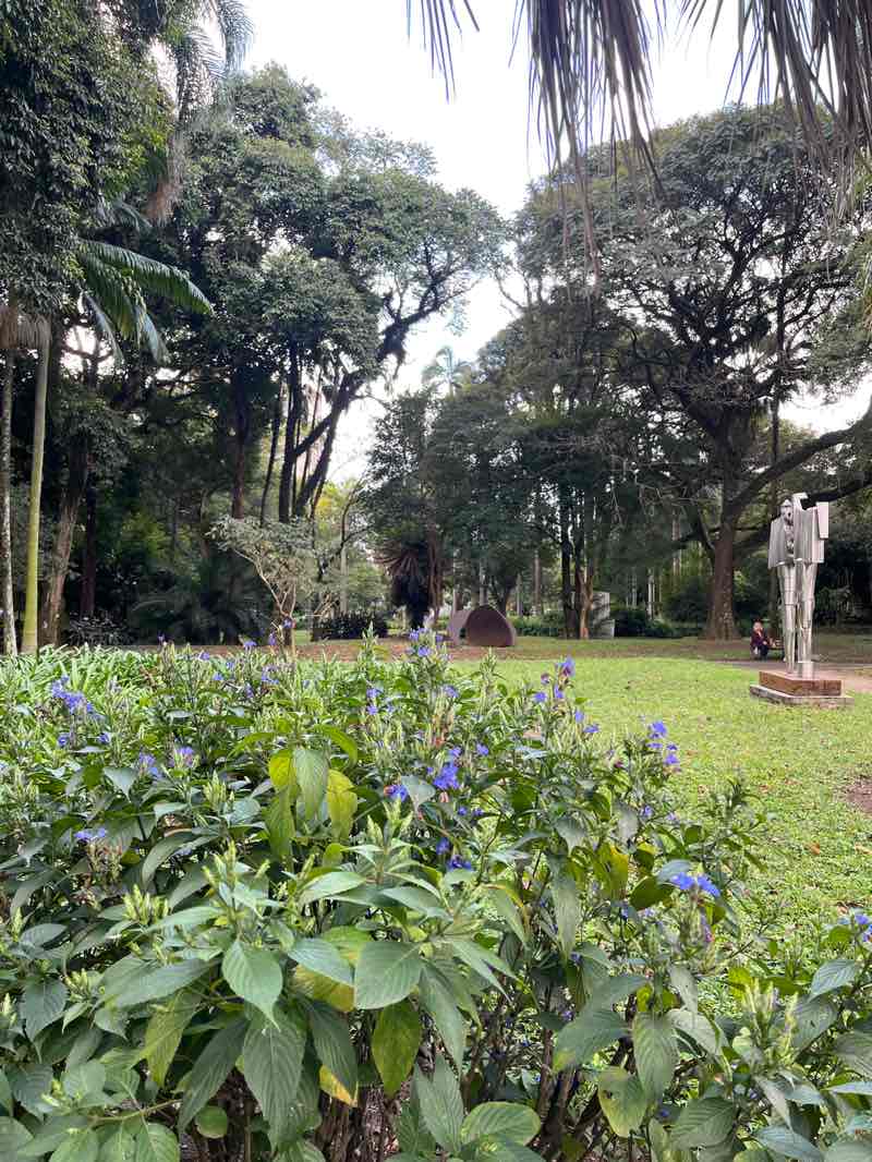 walking near me in Parque da Luz in winter