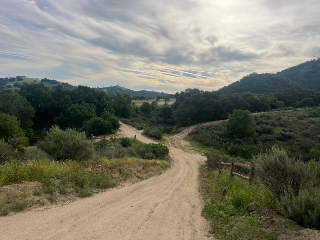 walking near me in Hollister Hills State Vehicular Recreation Area: Upper Ranch in spring