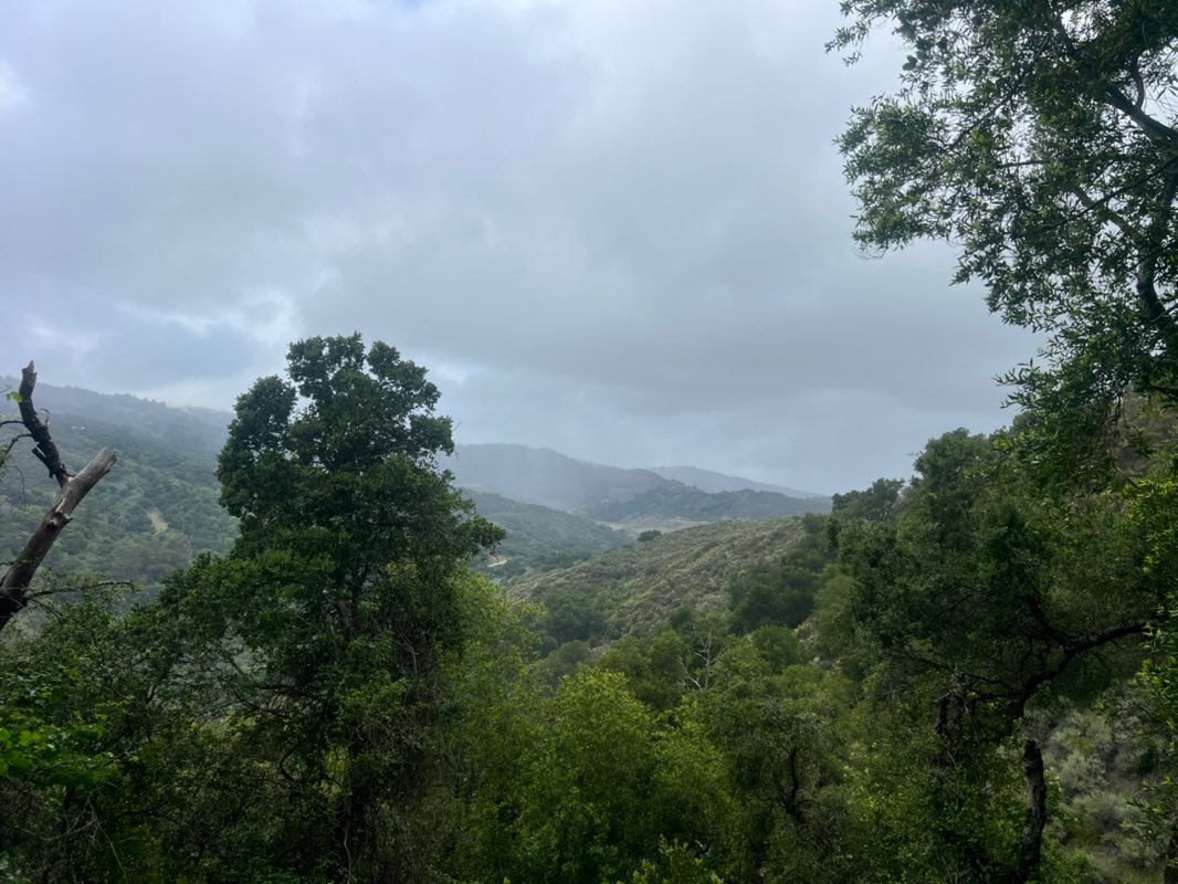 walking near me in Stevens Creek County Park in spring