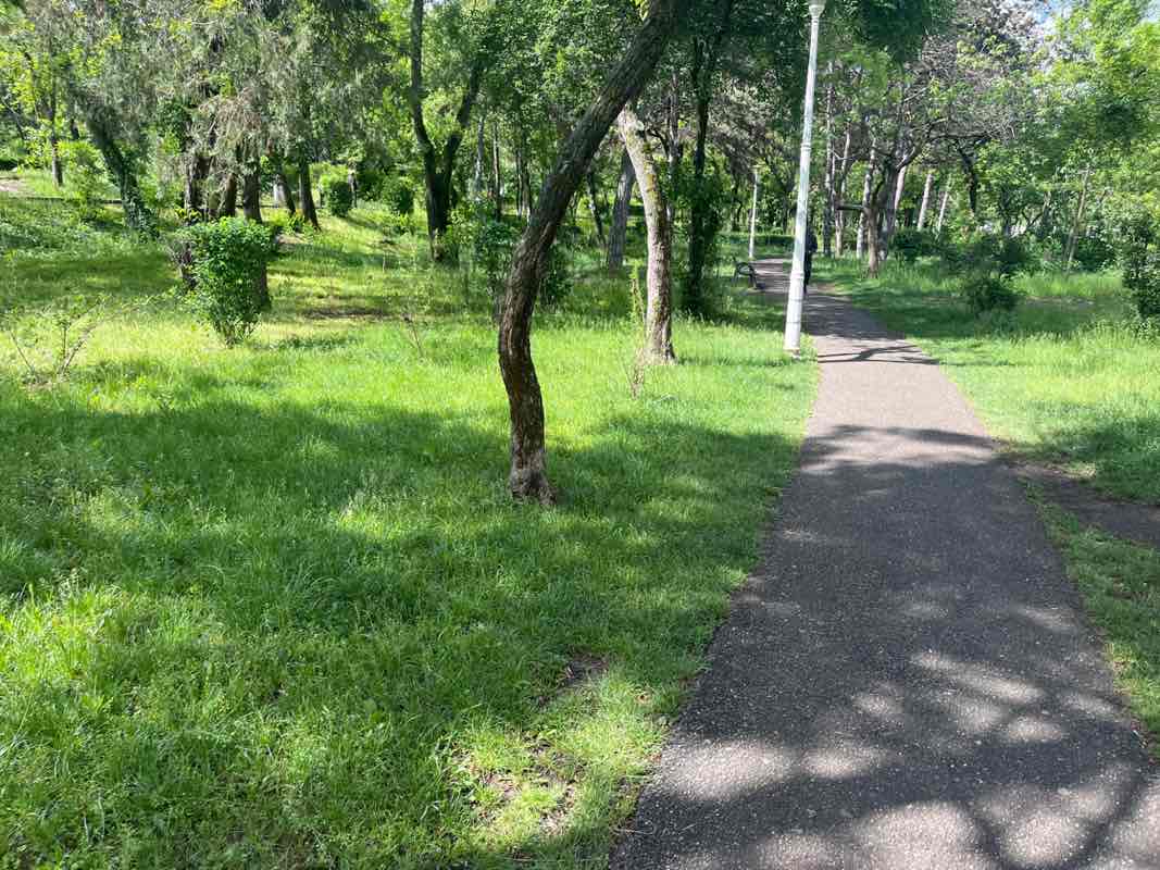 walking near me in Parcul Meșteșugăresc in spring