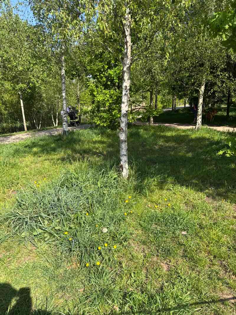 walking near me in Lakeside Park in spring