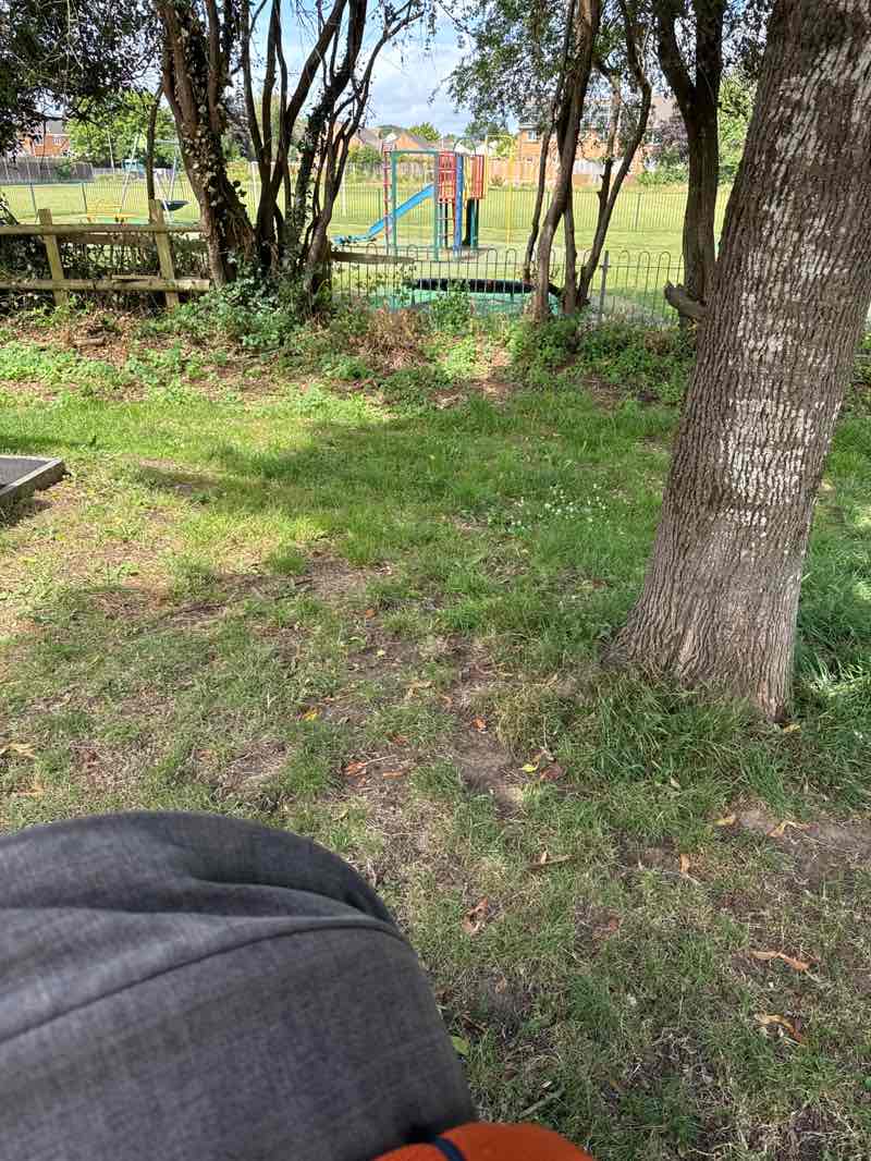 walking near me in Sports field in summer