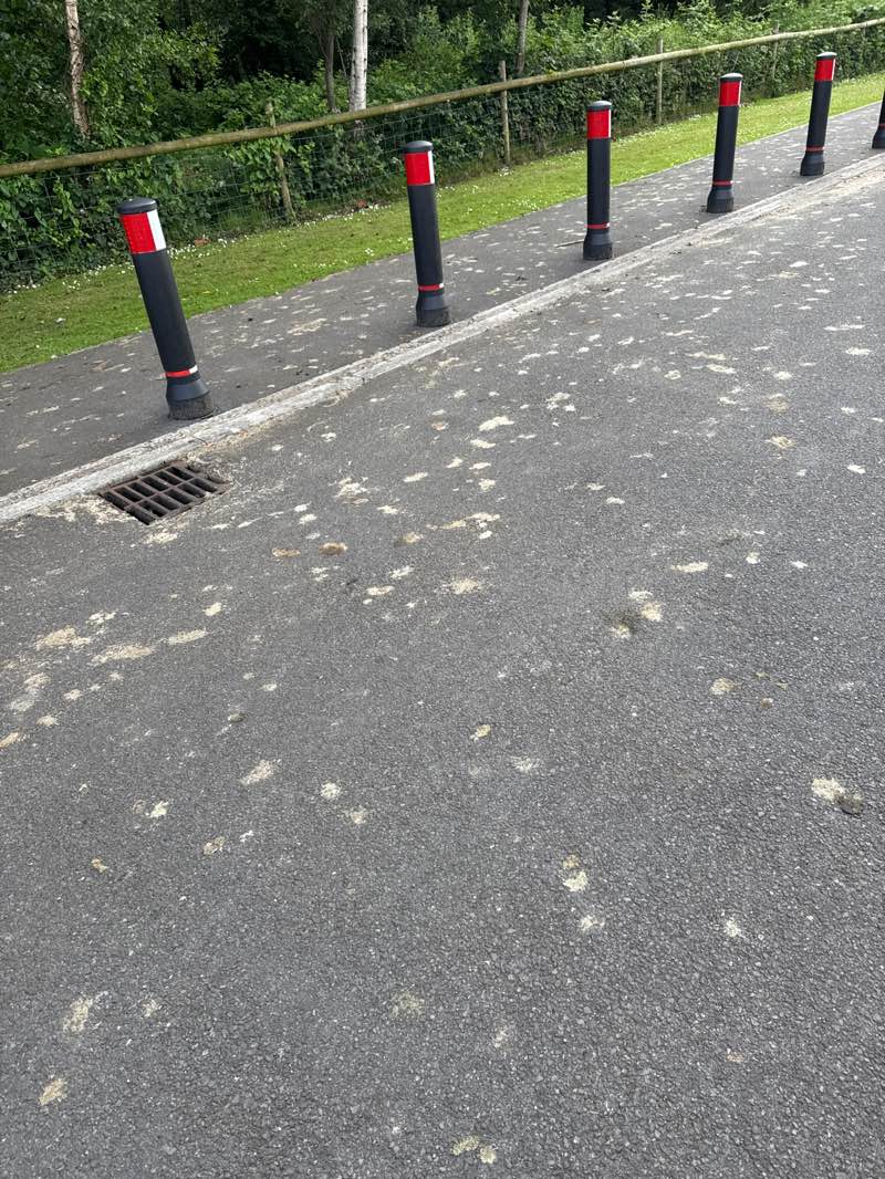 walking near me in Pools Park in summer