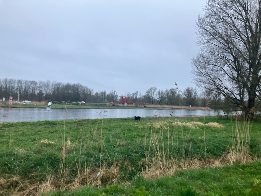 walking near me in Vaartsluisbos in winter