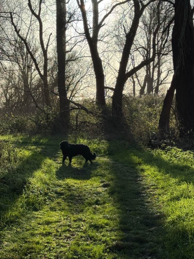 walking near me in Wilgenbos in winter