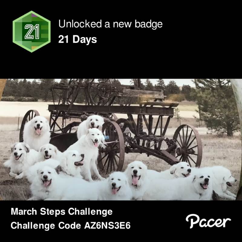 theemom💃🏽🏃🏽‍♀️🧘🏽‍♀️🦄 post 1