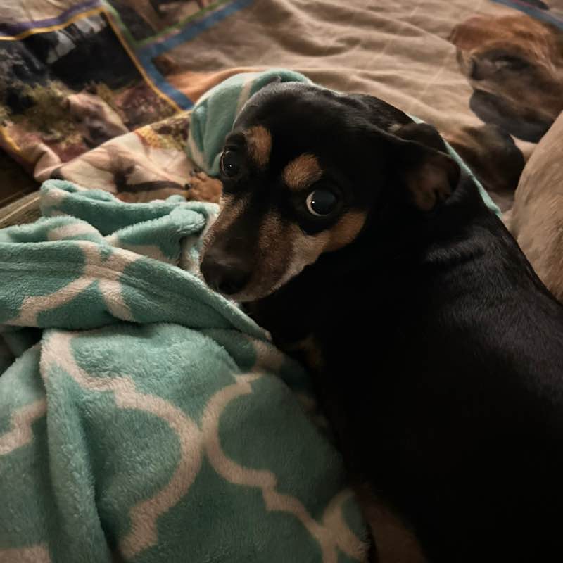 theemom💃🏽🏃🏽‍♀️🧘🏽‍♀️🦄 post 3