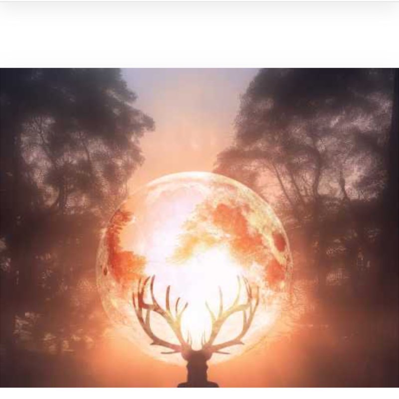 Walking in Circles Support Group theemom💃🏽🏃🏽‍♀️🧘🏽‍♀️🦄 post image