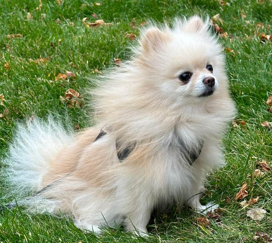 elena.vakhitova profile