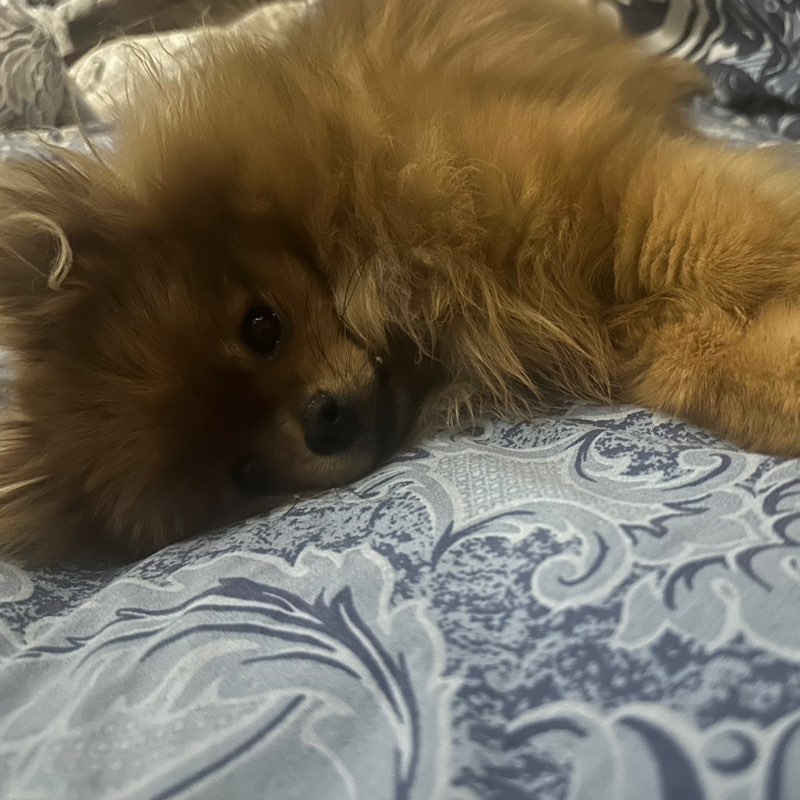 elena.vakhitova profile