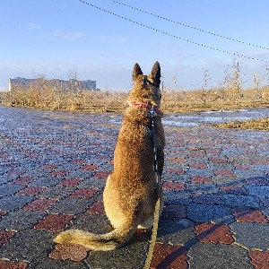 Татьяна profile