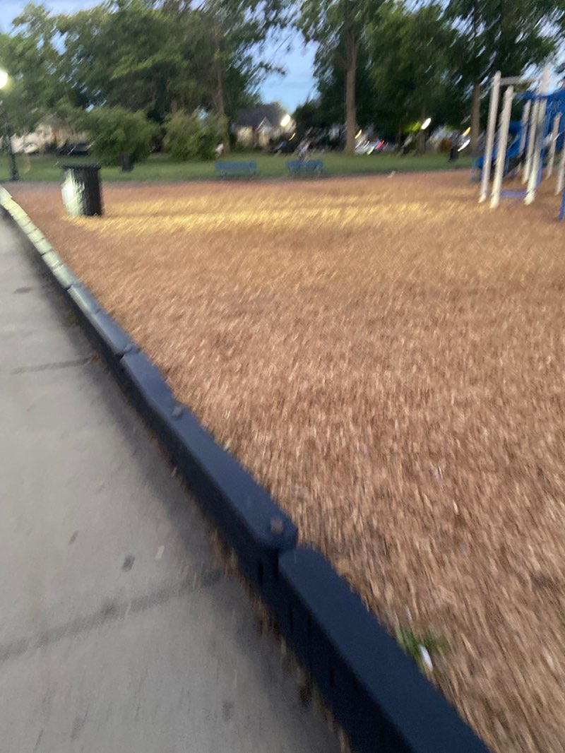 walking near me in Carteret Park in summer