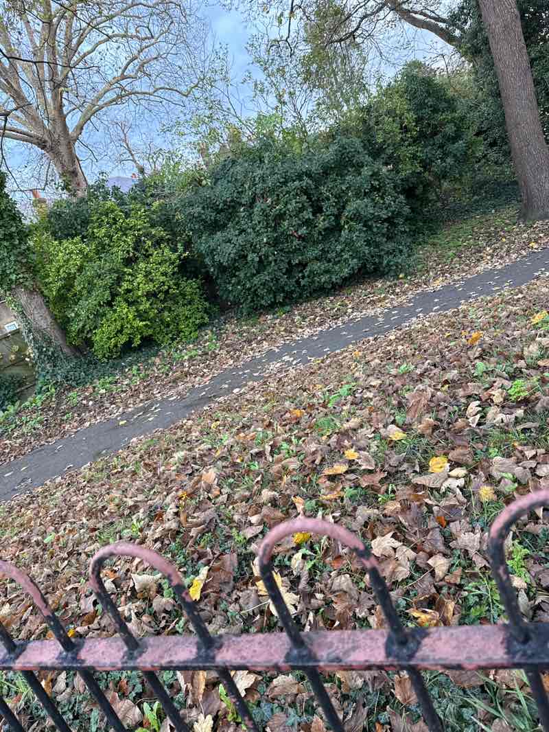 walking near me in Elizabeth Welchman Gardens in autumn