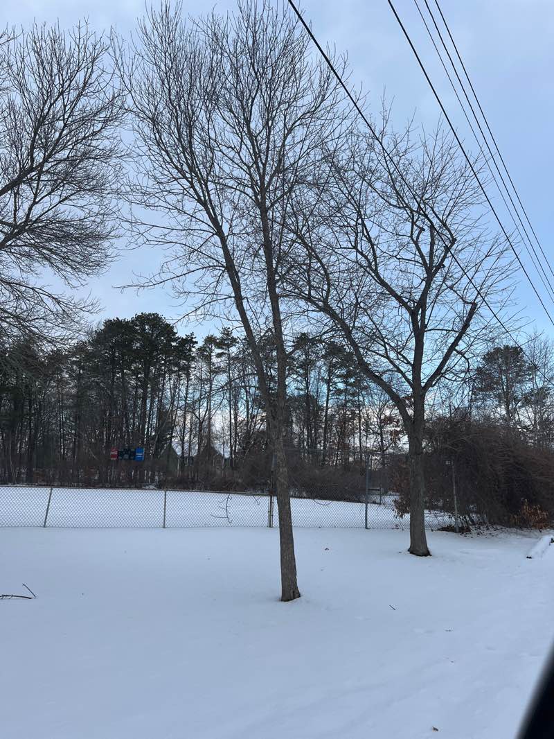 walking near me in Cullerot Park in winter