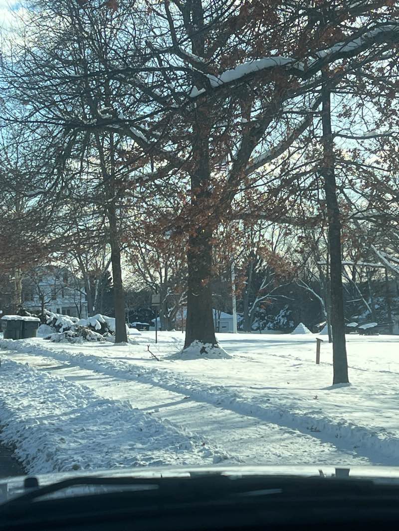 walking near me in Stark Park in winter