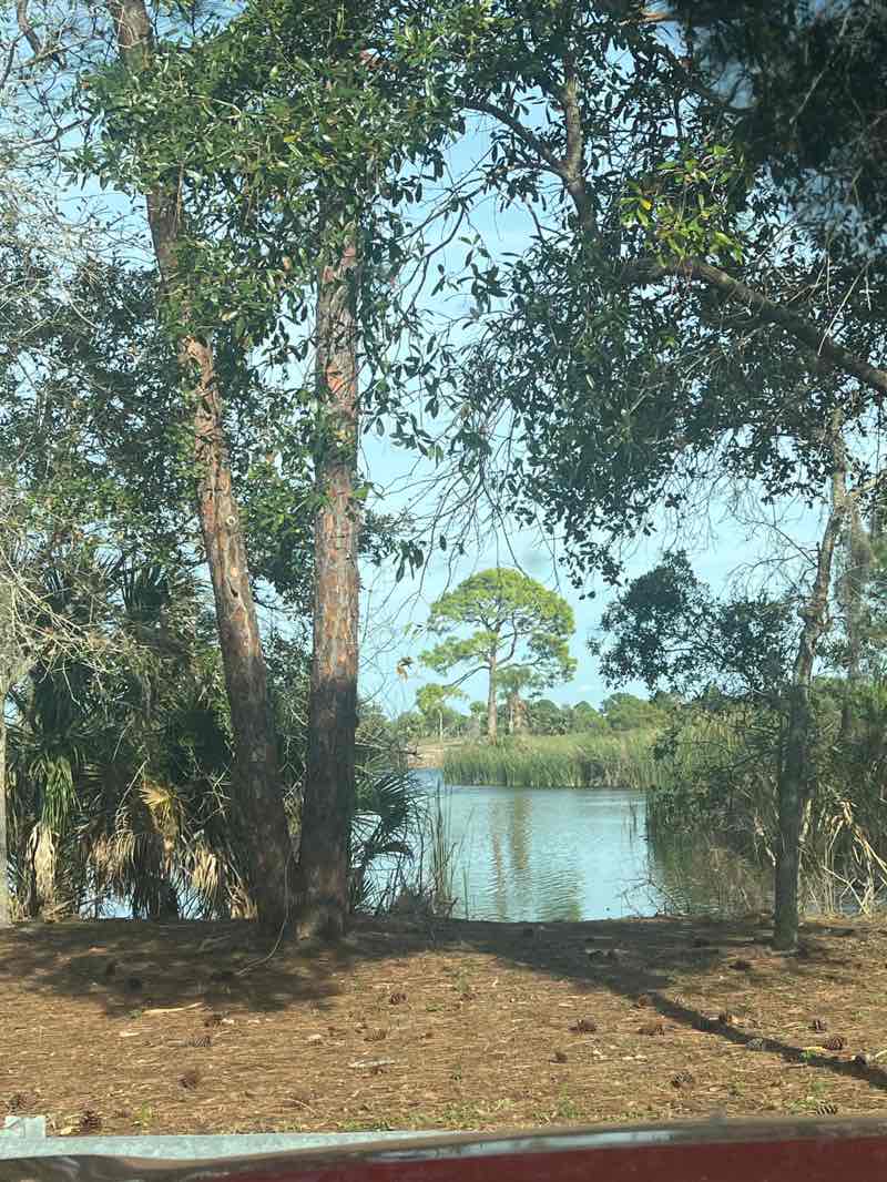 walking near me in Kiwanis Hobart Park in winter