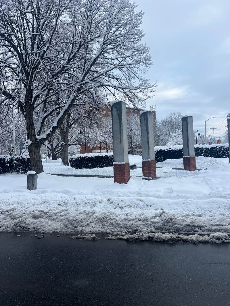 walking near me in Kalivas Park in winter