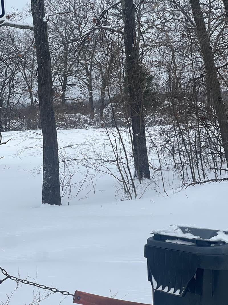 walking near me in Medford Park in winter