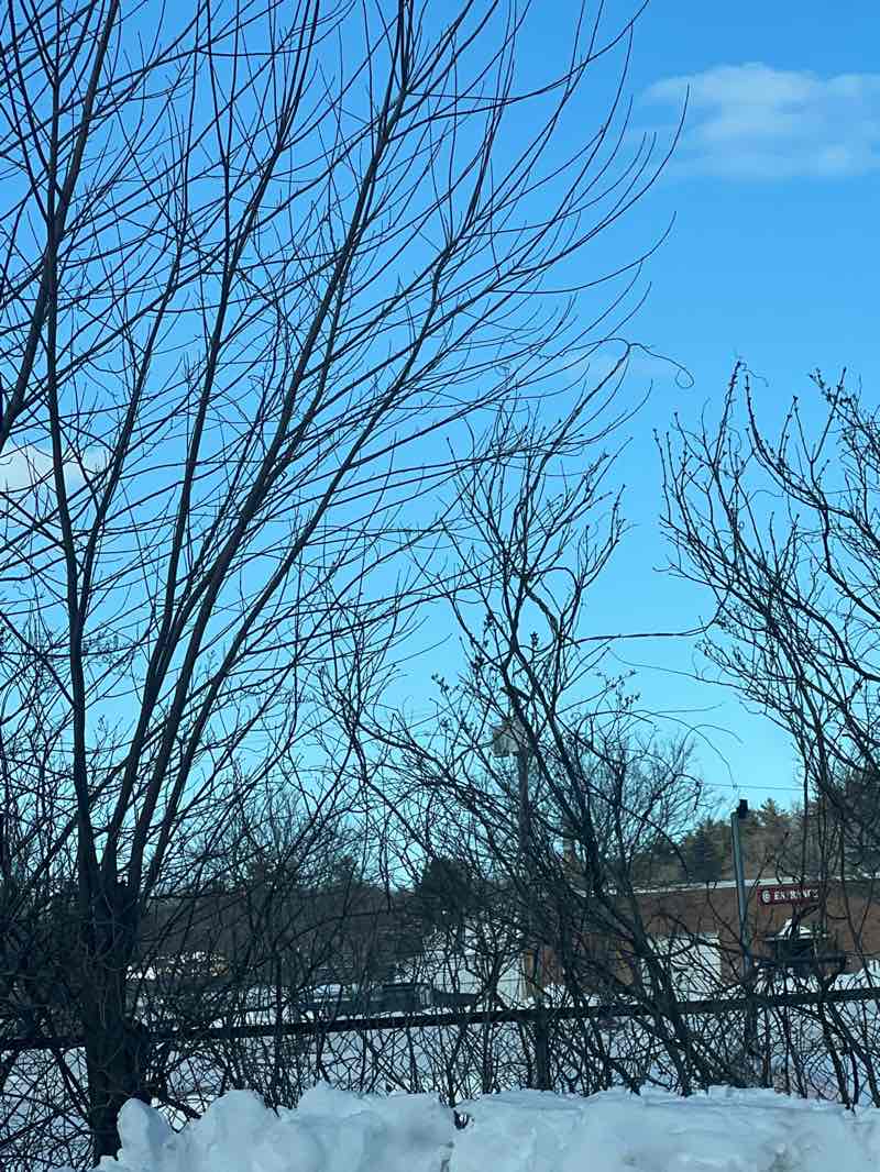 walking near me in Goffs Falls Park in winter